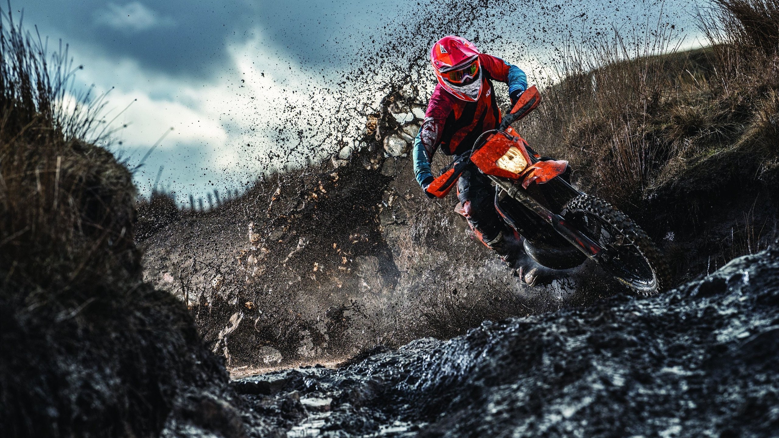 阵容调整带来的巨大变化：谁是赛季最大黑马？，阵容排行